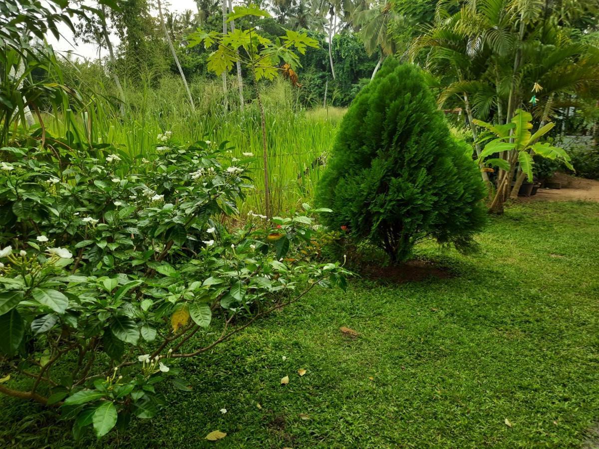 Hansa Villa Хиккадува Экстерьер фото